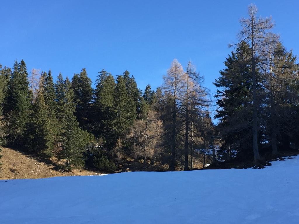 Ferienwohnung Schipplegg Annaberg im Lammertal Exterior foto